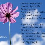 Frasi sulla felicità in Inglese tradotte in italiano (Brevi)