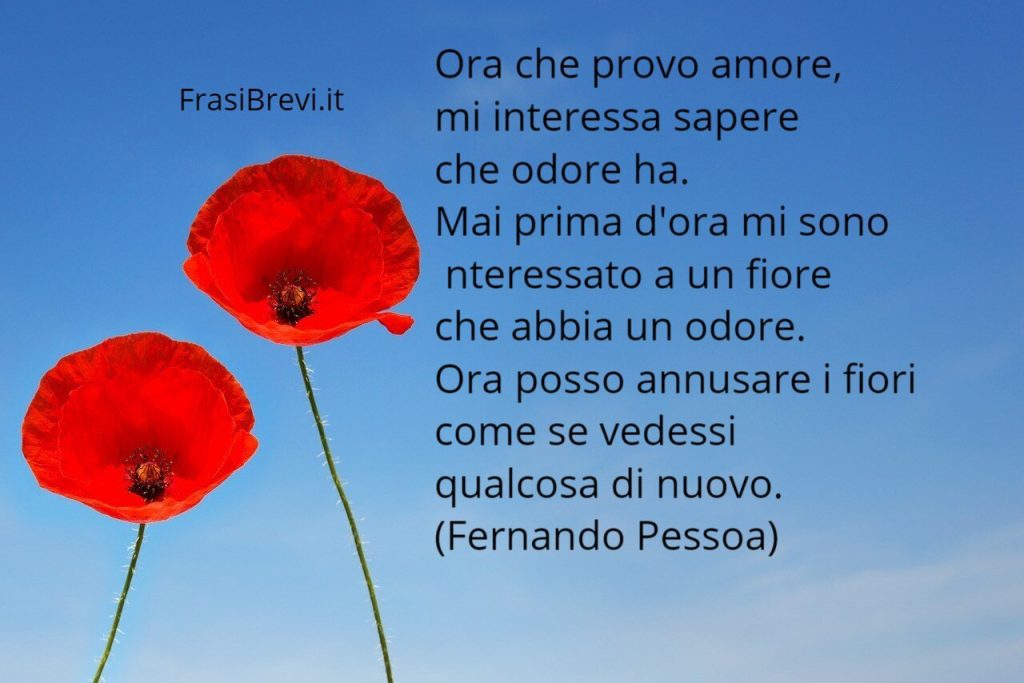 Frasi di Fernando Pessoa