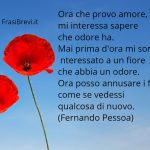 Frasi di Fernando Pessoa: Le più belle solo su Frasi Brevi .it
