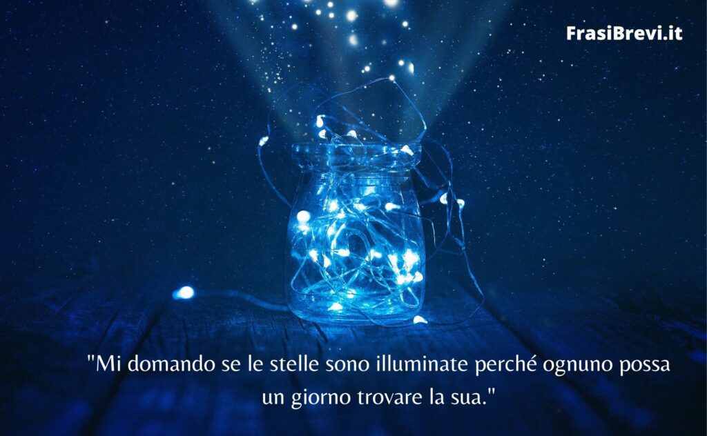 Le più belle frasi tratte dal libro il Piccolo Principe