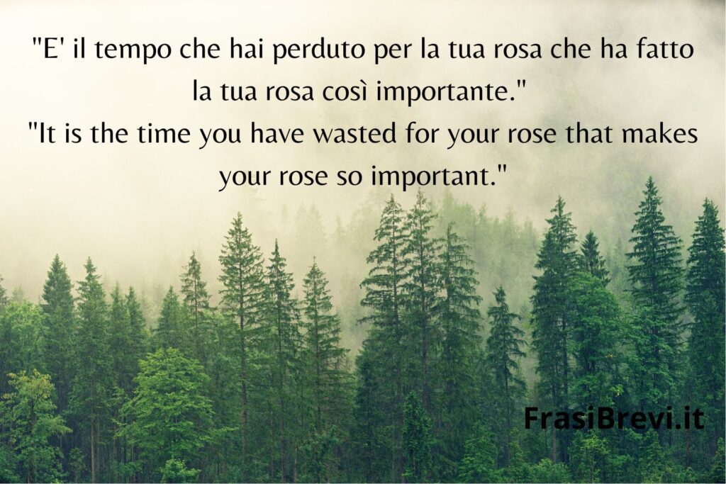 Quotes of the Little Prince translated into Italian