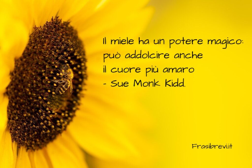 Frasi sul miele