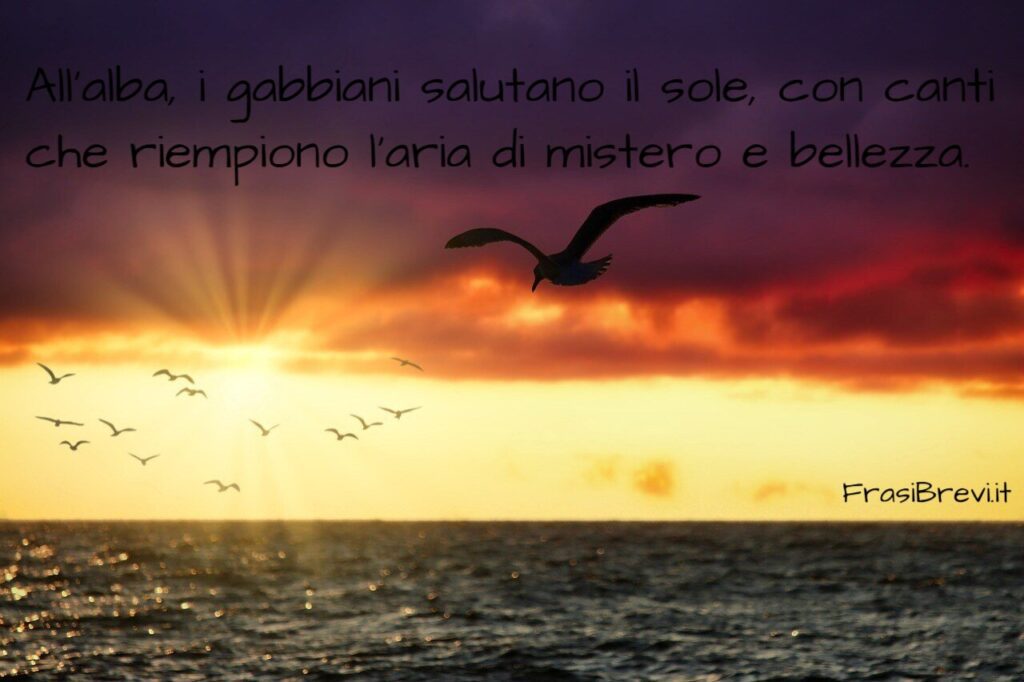frasi sui gabbiani
