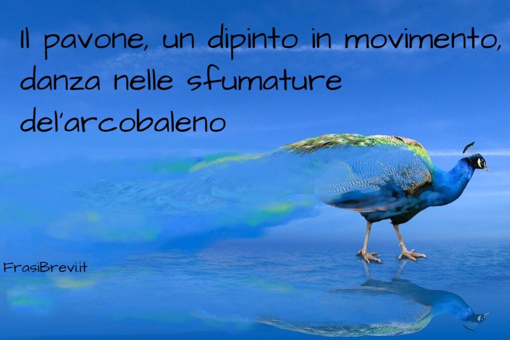 Frasi sui pavoni