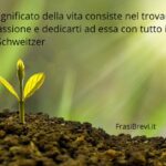 Frasi di Albert Schweitzer