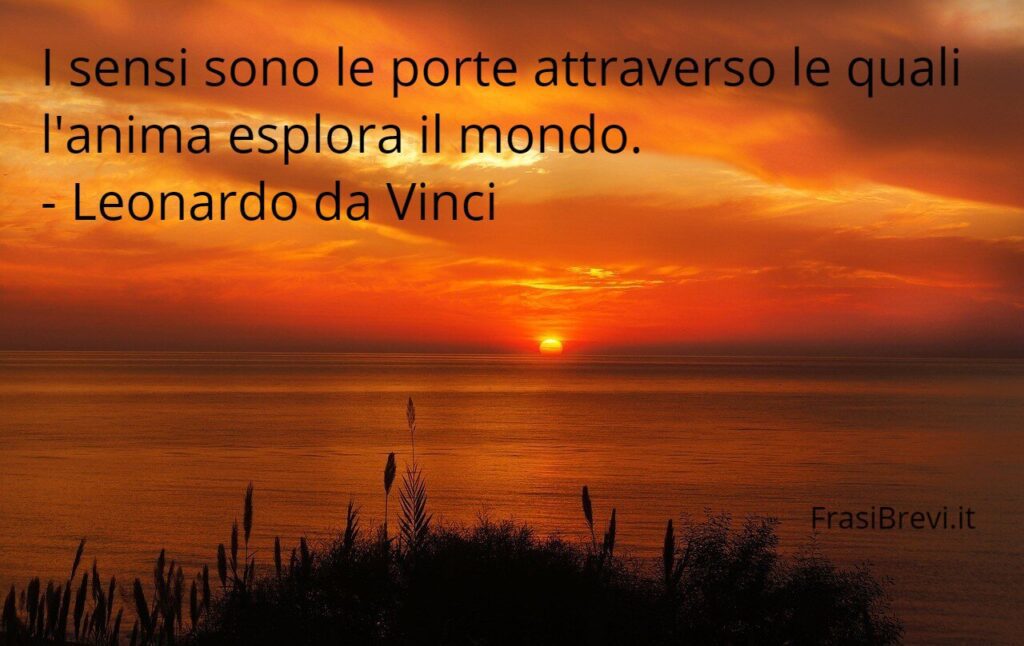 Frasi sui cinque sensi