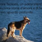 Frasi sul pastore tedesco