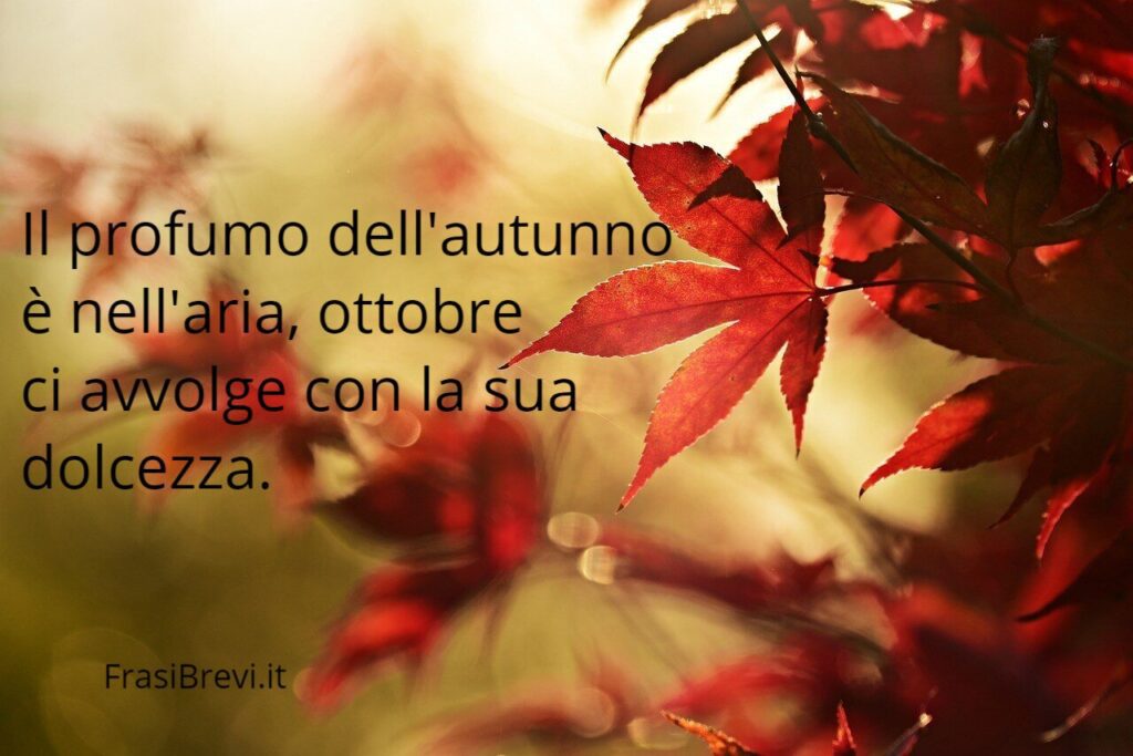 Frasi sul mese di Ottobre