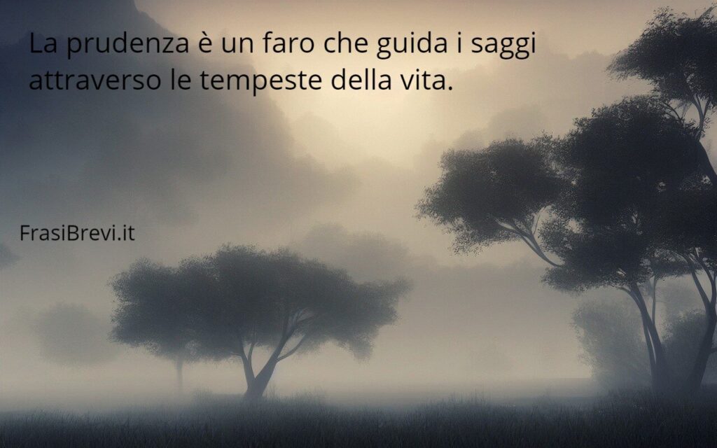 Frasi sulla prudenza