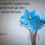 Frasi Brevi per ringraziare qualcuno per qualcosa frasi per ringraziare qualcuno per qualcosa